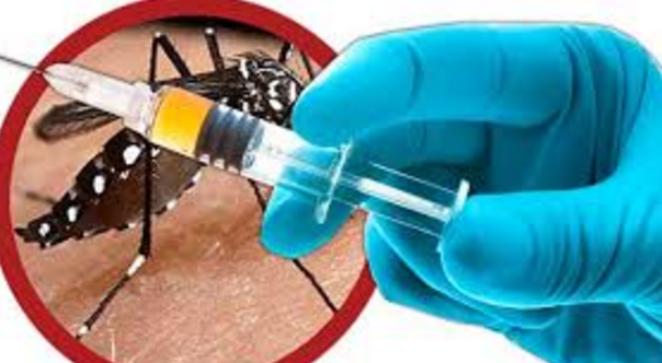 Dengvaxia®, Vaksin Dengue Pertama di Dunia Akhirnya Memperoleh Izin Edar setelah 20 Tahun Penelitian