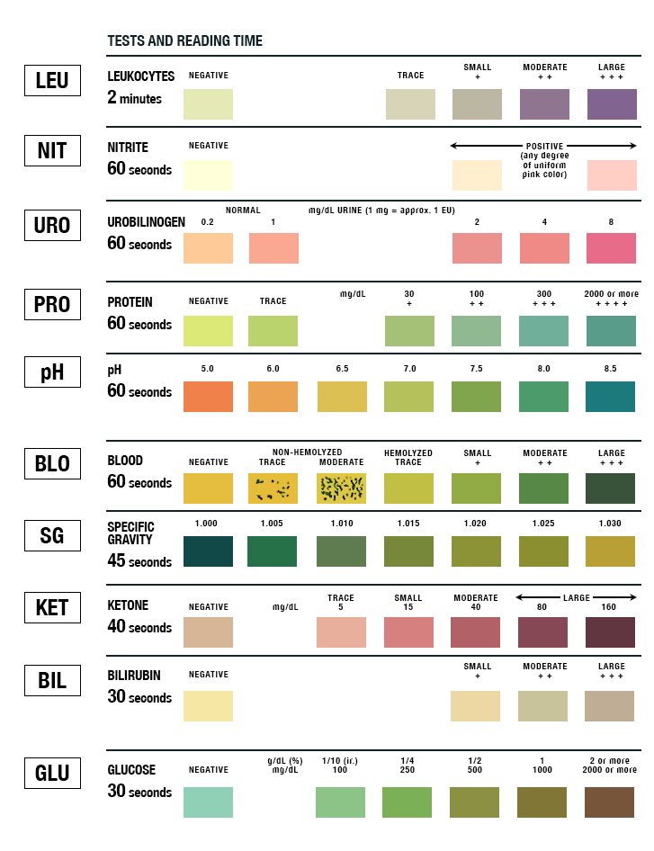 Multistix-Urinalysis-Color-Key