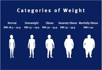 gambar3-obesitas
