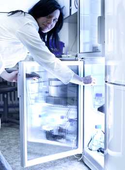Fungsi Kulkas Laboratorium yang Perlu Anda Tahu