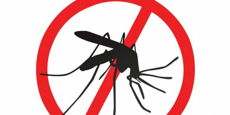 Rapid Test Malaria, Si Pendeteksi Penyakit Malaria