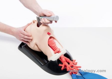 Airway Management Trainer