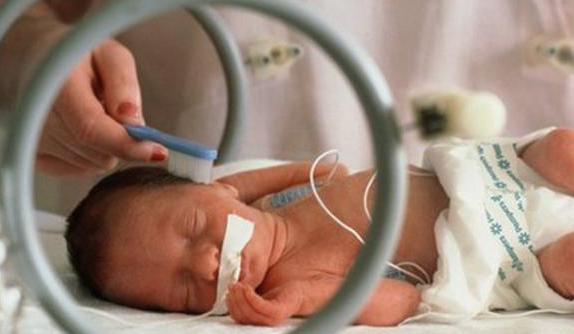 inkubator-bayi-1