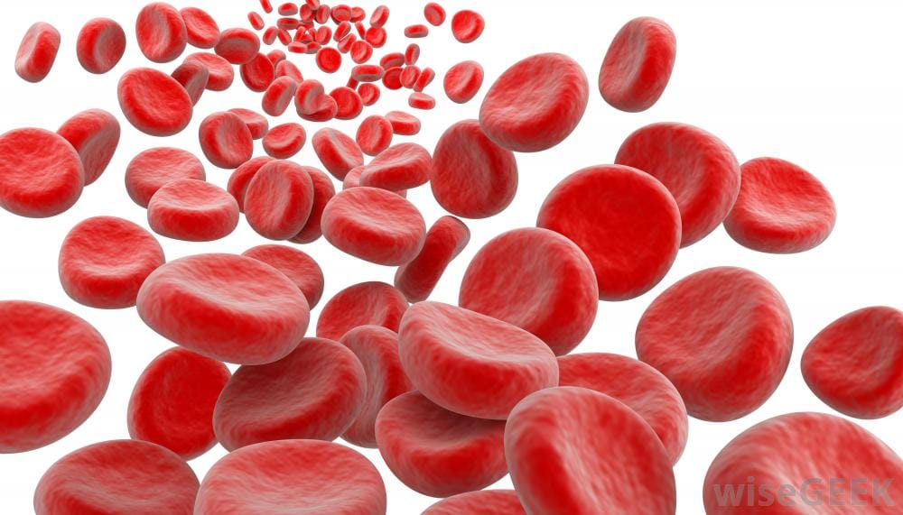 red-blood-cellls