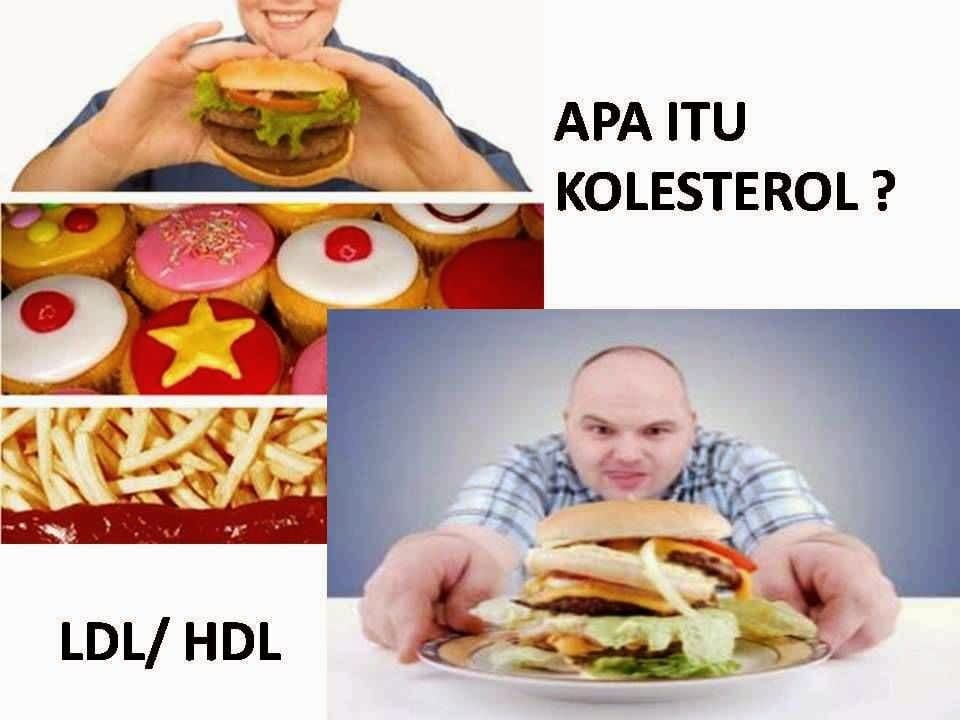 Fakta-Tentang-Kolesterol