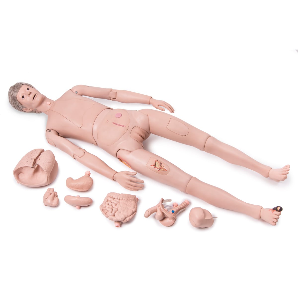 P10-1_01_1200_1200_3B-Scientific-Patient-Care-Manikin-PRO