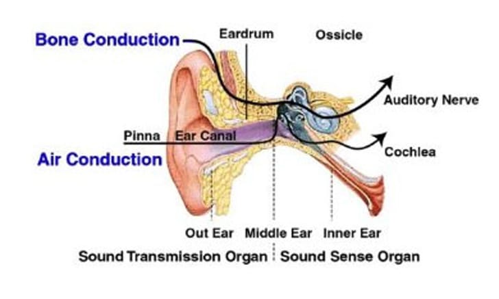 bone-conduction