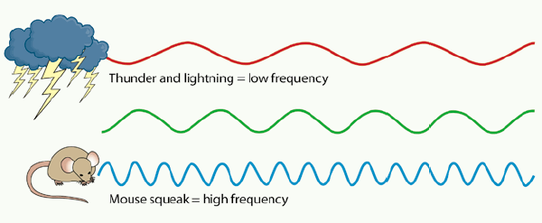 frequencies