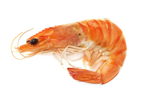 shutterstock-214213156