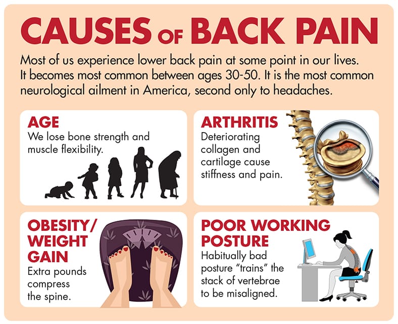 Back Pain InfoGraphic
