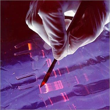 PCR-Virus-Testing