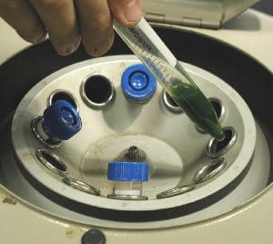Kiat Memilih Alat Centrifuge yang Cocok untuk Laboratorium Anda