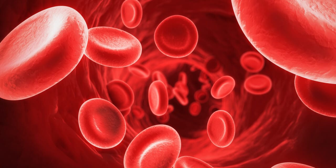 RedBloodCells11-1280x640
