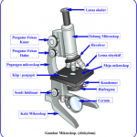 Serba-Serbi Mikroskop dan Fungsinya