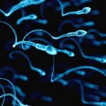Manfaat sperma bagi kesehatan