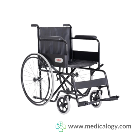harga GEA Kursi Roda Standar Wheel Chair FS 875 Alat Bantu jalan