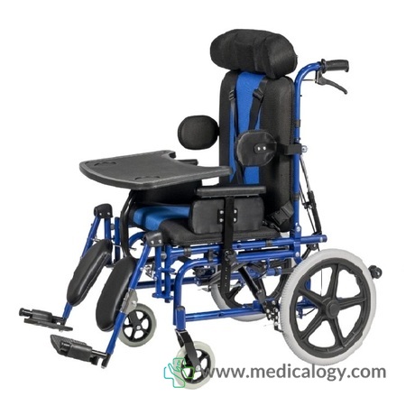 harga Kursi Roda Celebral Palsy Sellaco DY01958CP untuk Anak